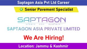 Saptagon Asia Pvt Ltd Career